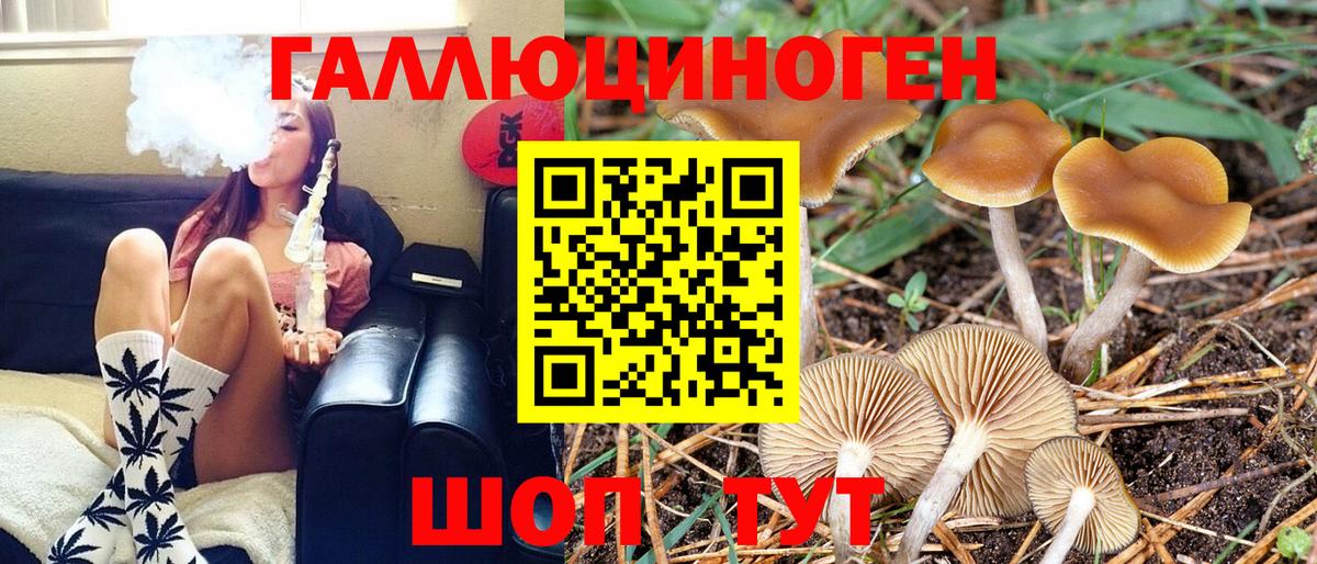 Галлюциногенные грибы MAGIC MUSHROOMS Йошкар-Ола
